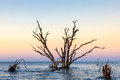 Botany Bay