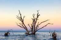 Botany Bay