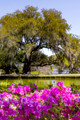 Middleton Place