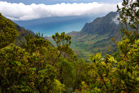 Hawaii